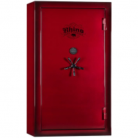 Сейф по отпечатку пальца Rhino Metals® CD7242X BEL BUG BC
