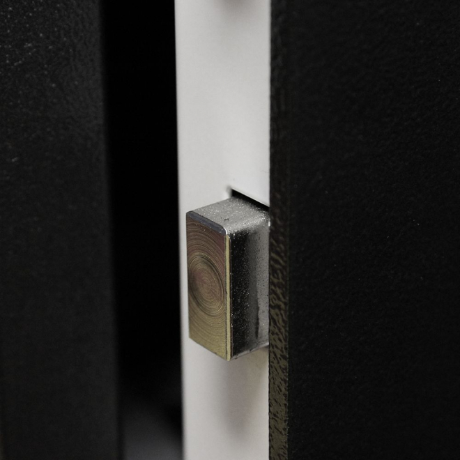 Встраиваемый в стену сейф Burg–Wachter WT 16 N E FS BIO